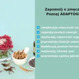Zapomnij o zmęczeniu! Poznaj adaptogeny co to. Zwiększają odporność na stres, regulują energię, wspierają organizm, poprawiają funkcje neurologiczne, stabilizują hormony, wspierają sen i jakość życia.