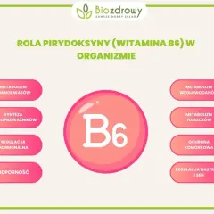 Witaj w świecie witaminy B6! Dowiedz się, na co wpływa pirydoksyna: metabolizm aminokwasów, neuroprzekaźników, węglowodanów, tłuszczów, regulacja hormonalna, odporność, ochrona komórkowa, nastrój i sen.
