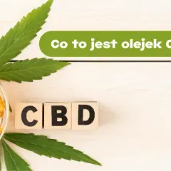 Olej konopny CBD na co pomaga? Zobacz, jak działa i jakie ma właściwości. Butelka z pipetą, kapsułki i liście konopi.