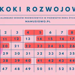 Kalendarz skoków rozwojowych dziecka w pierwszym roku życia. Pomaga śledzić etapy rozwoju malucha.