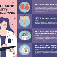 Kreatyna co daje? Rozwiewa mity: nie niszczy nerek, nie jest sterydem, nie powoduje łysienia. Zwiększa masę mięśniową i siłę.