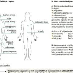Schemat ciała z zaznaczonymi obszarami bólu, pomocny w ocenie fibromialgii. Co to jest fibromialgia?
