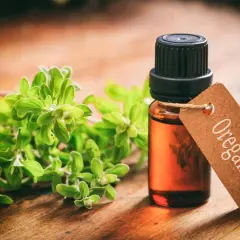 Butelka olejku z oregano i gałązka tej rośliny na drewnianym tle. Olejek z oregano na co? Na zdrowie!