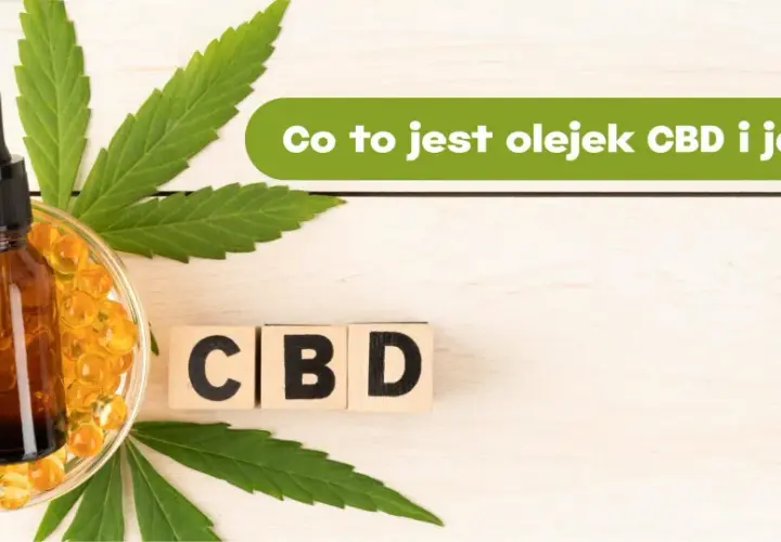 Olej konopny CBD na co pomaga? Zobacz, jak działa i jakie ma właściwości. Butelka z pipetą, kapsułki i liście konopi.