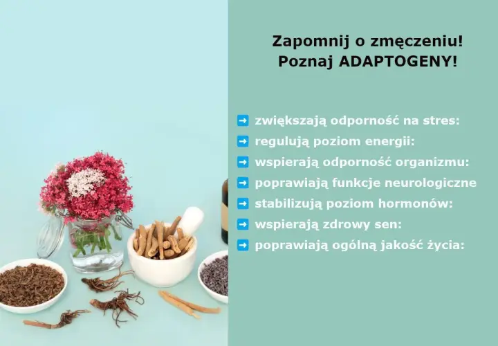 Zapomnij o zmęczeniu! Poznaj adaptogeny co to. Zwiększają odporność na stres, regulują energię, wspierają organizm, poprawiają funkcje neurologiczne, stabilizują hormony, wspierają sen i jakość życia.