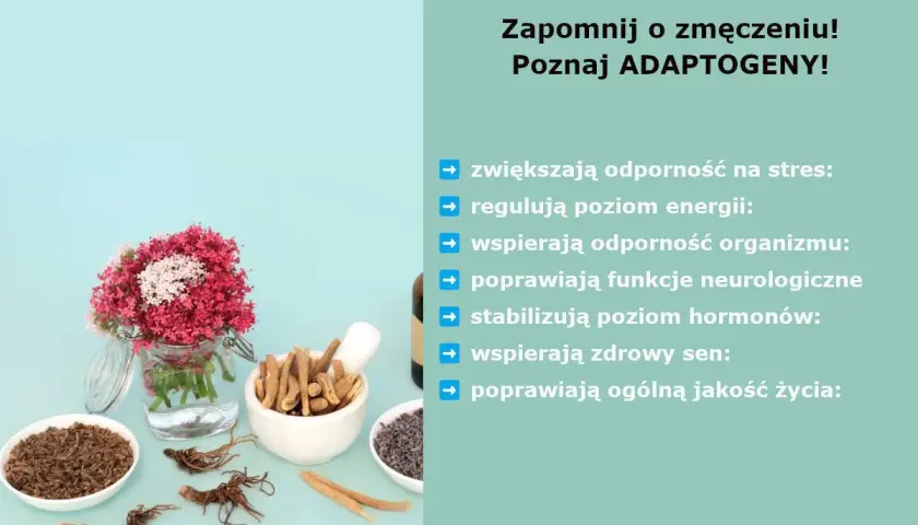 Zapomnij o zmęczeniu! Poznaj adaptogeny co to. Zwiększają odporność na stres, regulują energię, wspierają organizm, poprawiają funkcje neurologiczne, stabilizują hormony, wspierają sen i jakość życia.