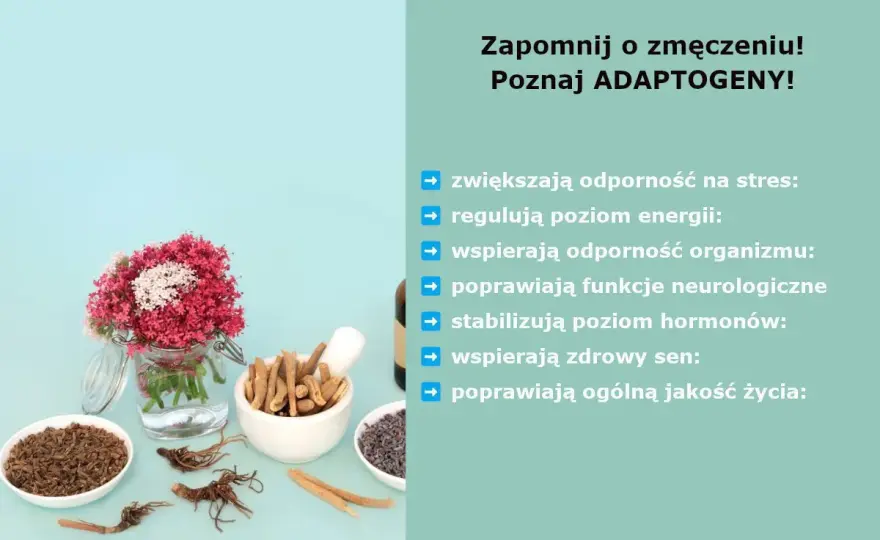 Adaptogeny na stres i zmęczenie - co warto wiedzieć?