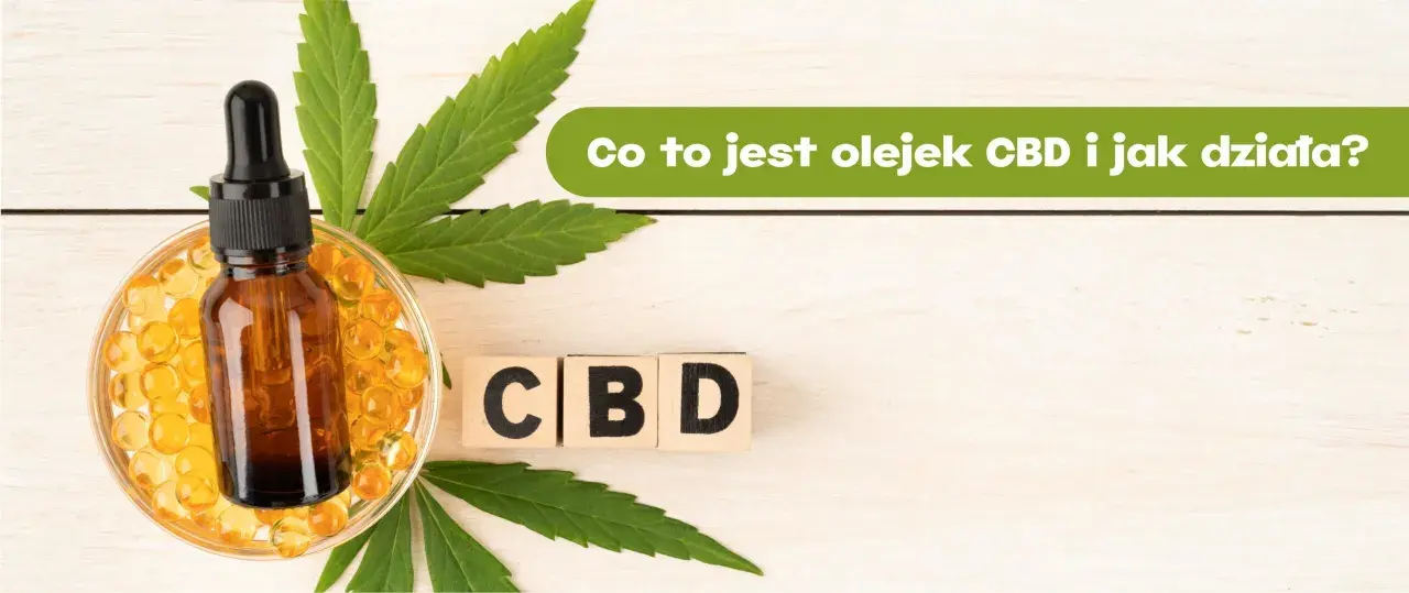 Olej konopny CBD na co pomaga? Zobacz, jak działa i jakie ma właściwości. Butelka z pipetą, kapsułki i liście konopi.