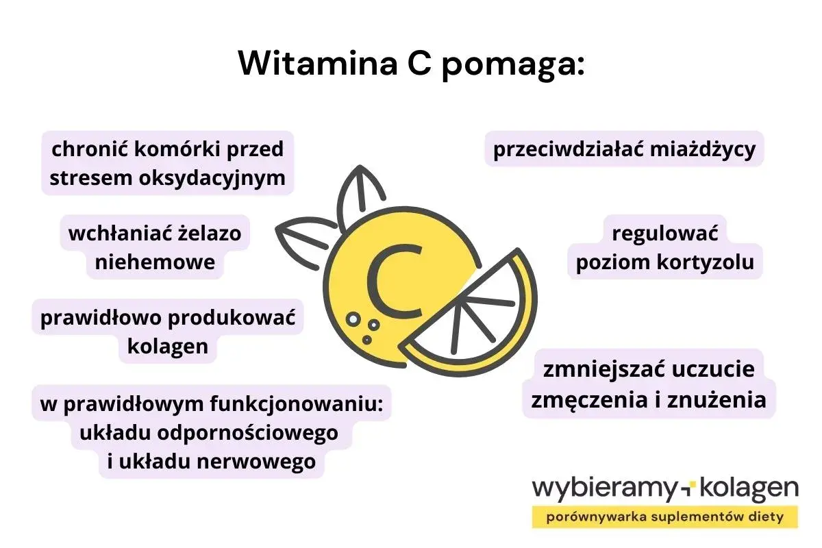 Witaj w świecie, gdzie witamina C właściwości ma wszechstronne: chroni komórki, wspiera odporność, produkcję kolagenu i redukuje zmęczenie.