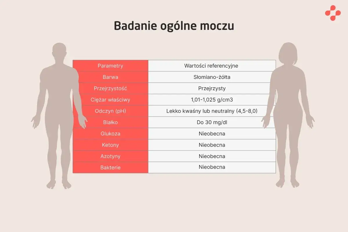 Tabela z badaniem og&oacute;lnym moczu. Wartość białka do 30 mg/dl.