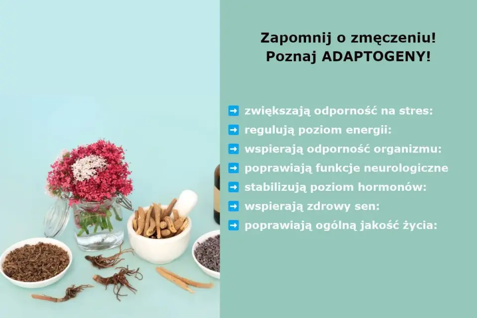 Adaptogeny na stres i zmęczenie - co warto wiedzieć?